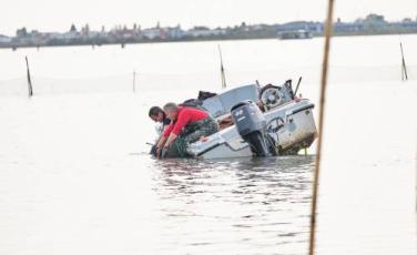 aeree di allevamento