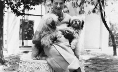 MUSEO GUGGENHEIM DI VENEZIA